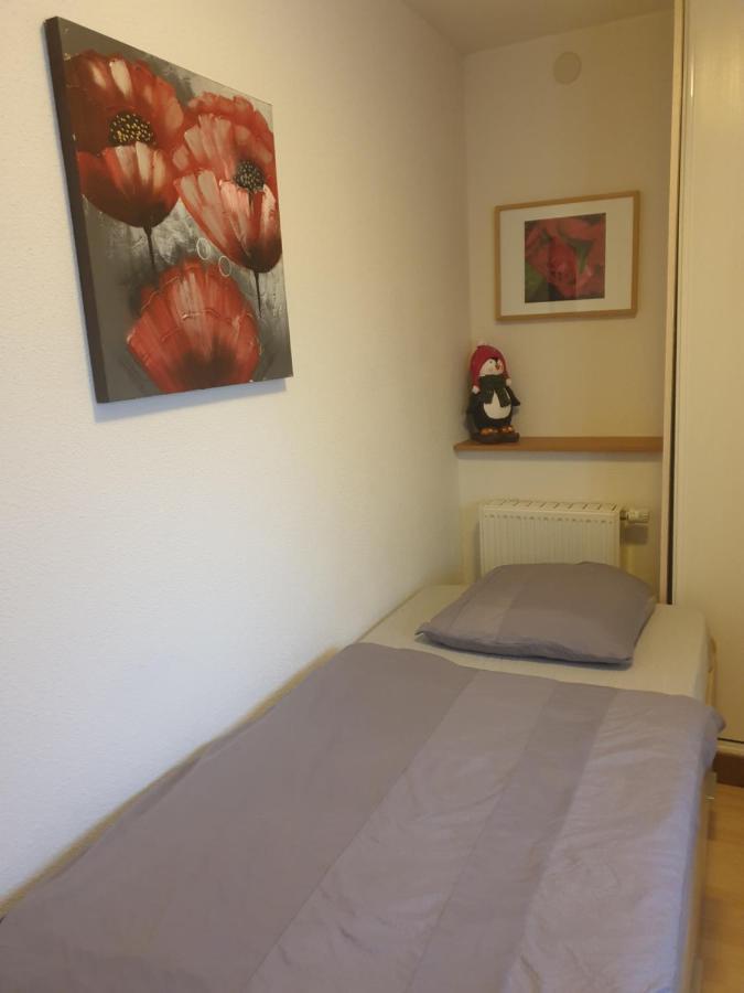 Appartement Proche D'Europa Park/Marches De Noel Rhinau Exteriör bild