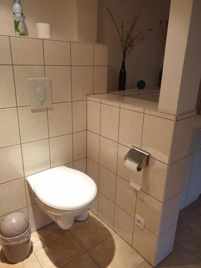 Appartement Proche D'Europa Park/Marches De Noel Rhinau Exteriör bild