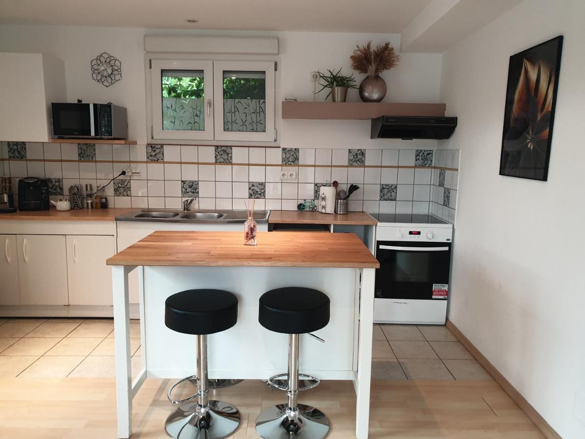 Appartement Proche D'Europa Park/Marches De Noel Rhinau Exteriör bild